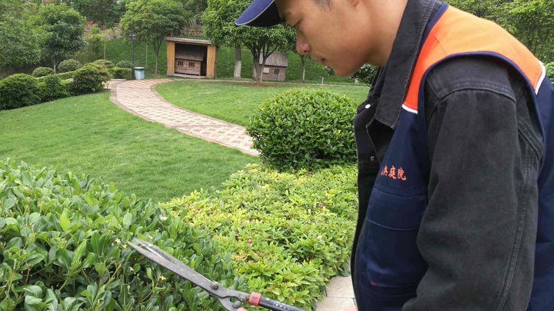私家庭院景观设计：如何打造个性化的绿色家园**