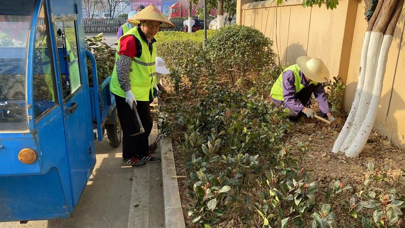 上海园林公司养护服务收费：揭秘背后的考量因素