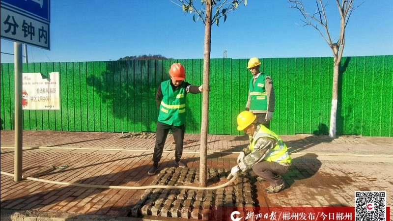 屋顶绿化材料费用是构成每平米价格的主要部分，包括但不限于以下几种：