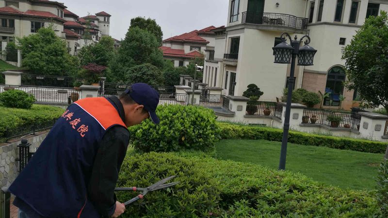 成都园林景观设计公司收费，揭秘合理定价背后的逻辑