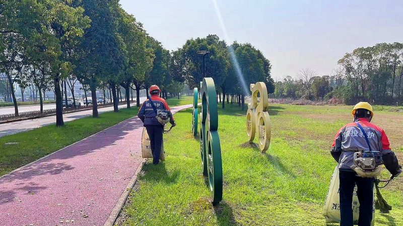 反季节苗木种植，养护关键点解析**