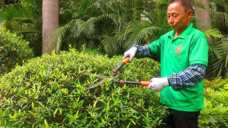 园林公司经营范围：市政工程篇，揭秘专业之道**