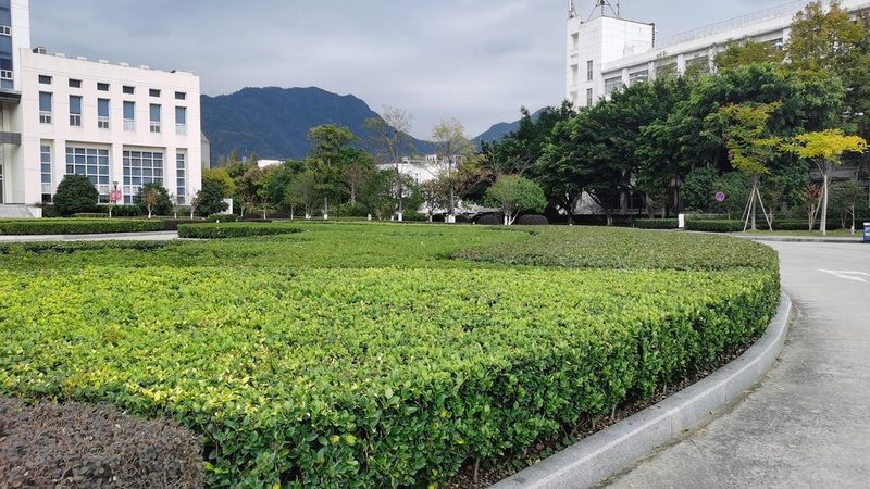 小区园林景观设计效果图：如何从图纸上看到未来的绿意盎然