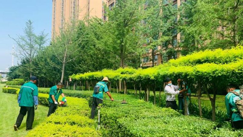 新中式别墅花园代理加盟，你需要了解这些